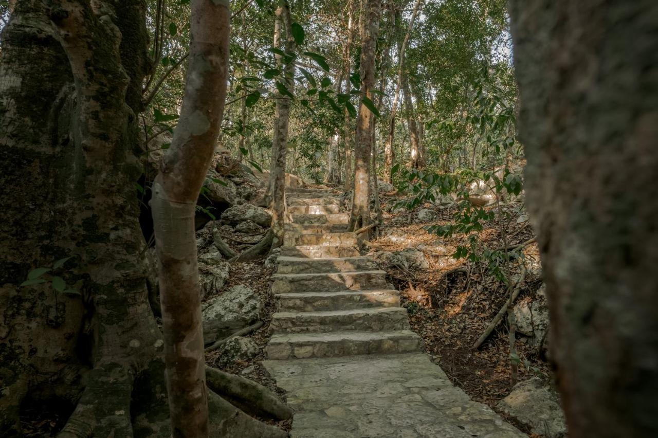 Naum - Secluded Villa With Private Cenote Tulum Exterior foto